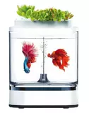 Акваферма Geometry Mini Lazy Fish Tank Pro C300